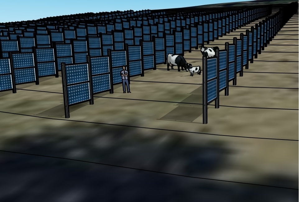 Warren Wilson College Agrivoltaic Microgrid ground level with cattle